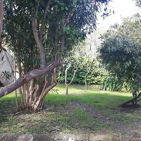 Giardino Labruto *